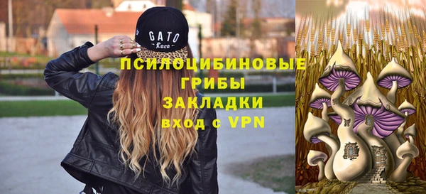 не бодяженный Арсеньев