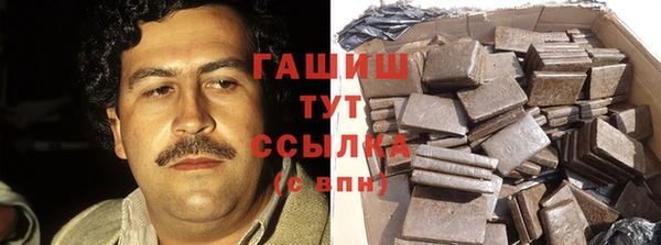 сатива Армянск