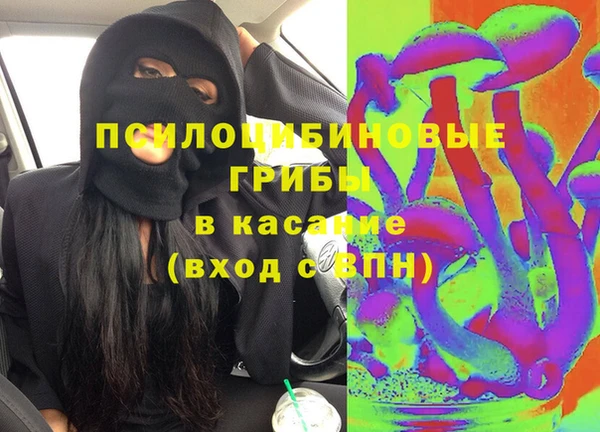 сатива Армянск