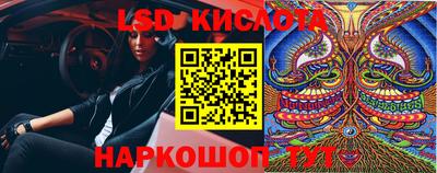 СК Кимры