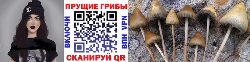Галлюциногенные грибы мицелий  Лянтор 