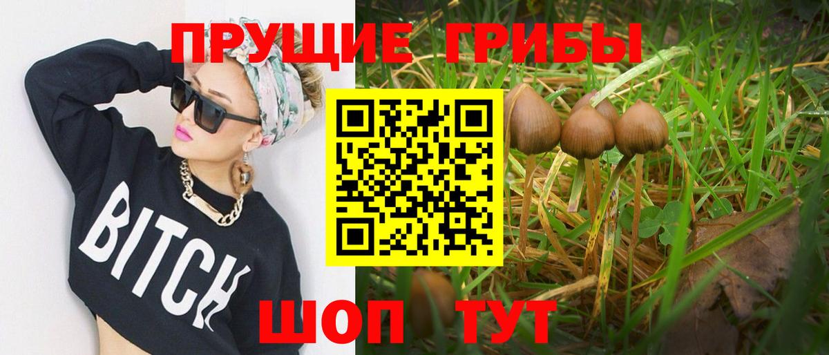 Псилоцибиновые грибы GOLDEN TEACHER  Вход с VPN  Галлюциногенные грибы ЛСД  Лянтор 