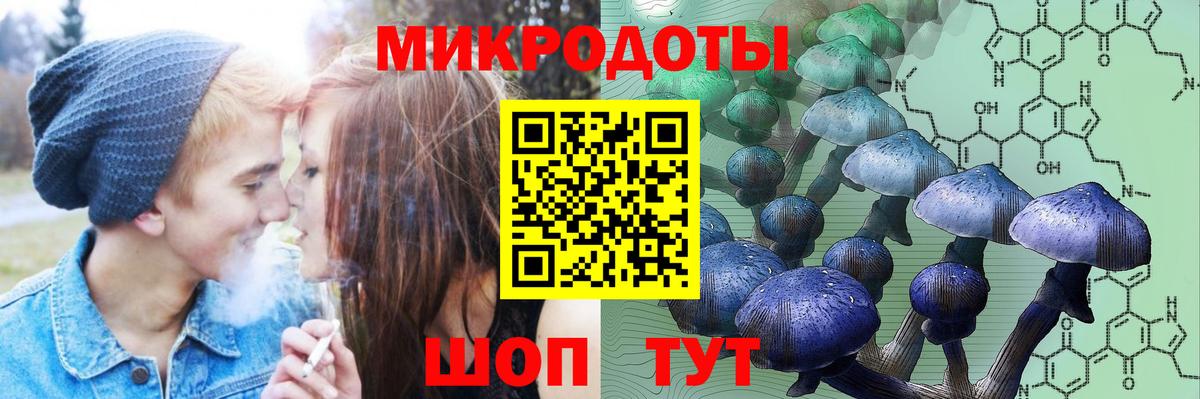 Псилоцибиновые грибы мицелий Лянтор